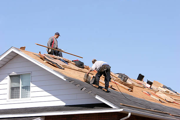 Best Metal Roofing Installation  in Peridot, AZ